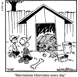 marmaduke